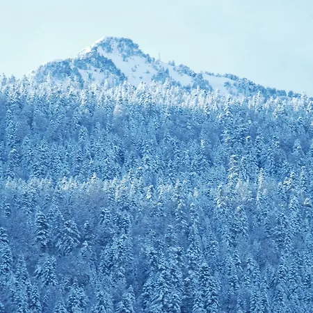Le Barbajou Hotel Aragnouet